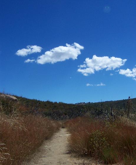 Harvey Moore Trail - Cuyamaca