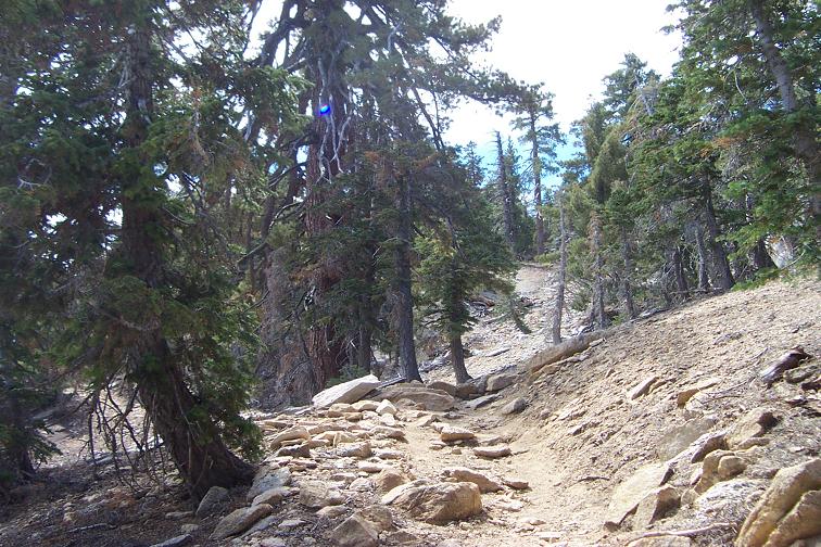 View of trail