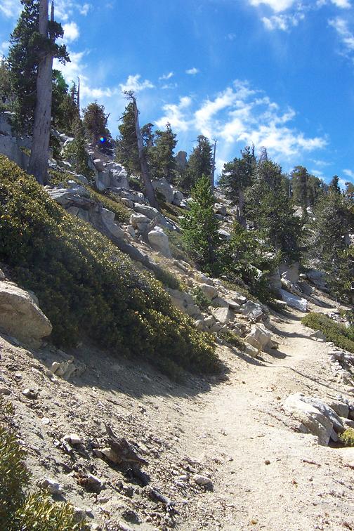 View of trail - almost to the top