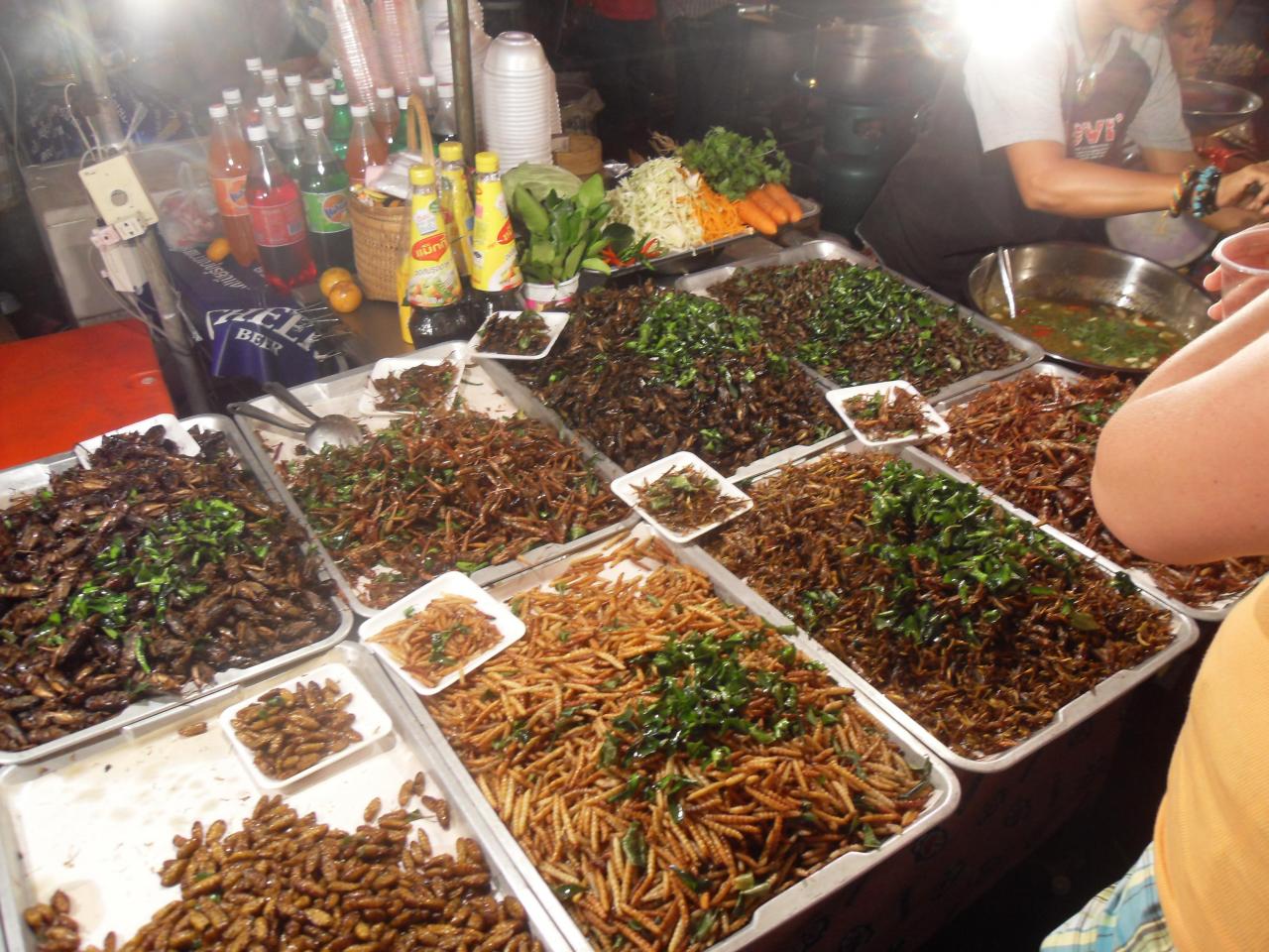 Fried bugs and crickets at Krabi night market