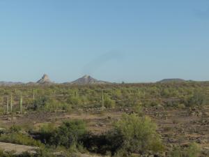 Beautiful Sonoran Desert, Arizona
