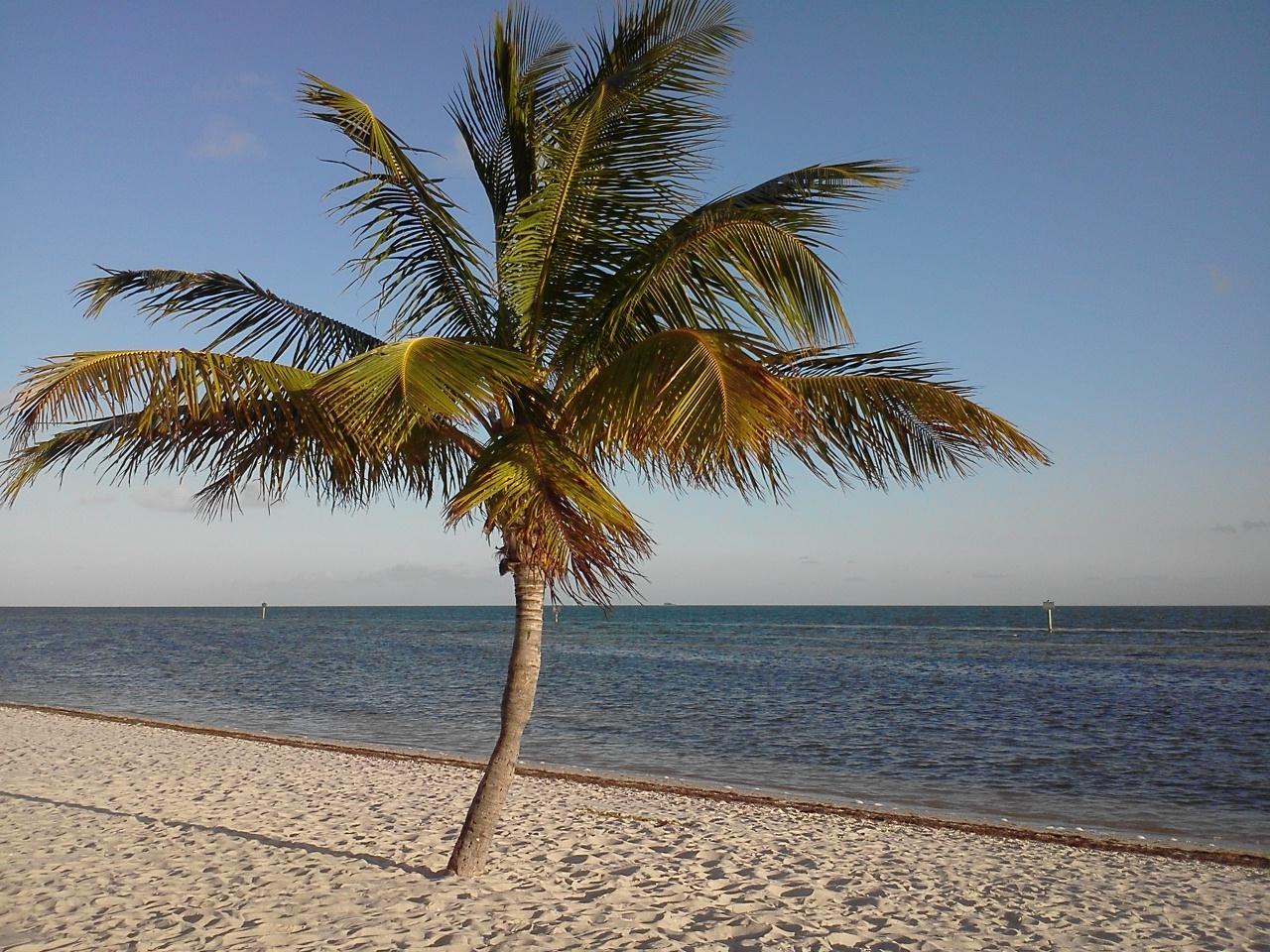 Paradise at Smathers Beach - Key West