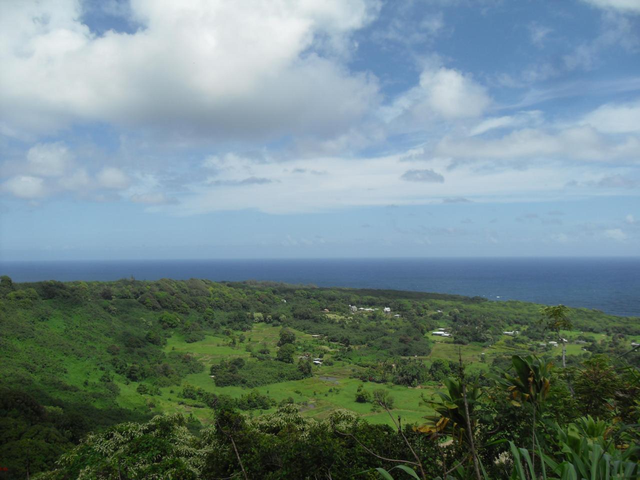 Beautiful view from the Road to Hana